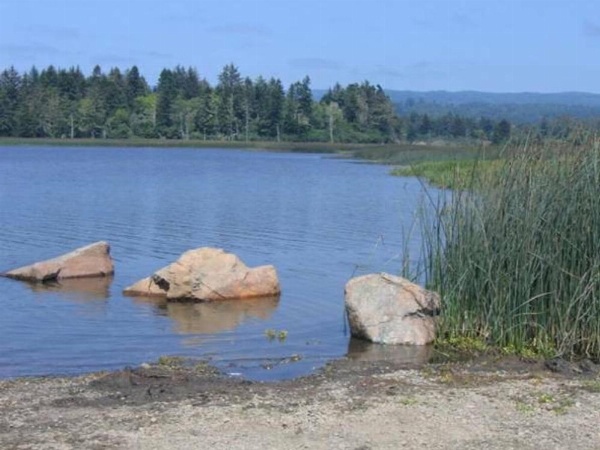 Lakeside Hostel & Guest House image 26